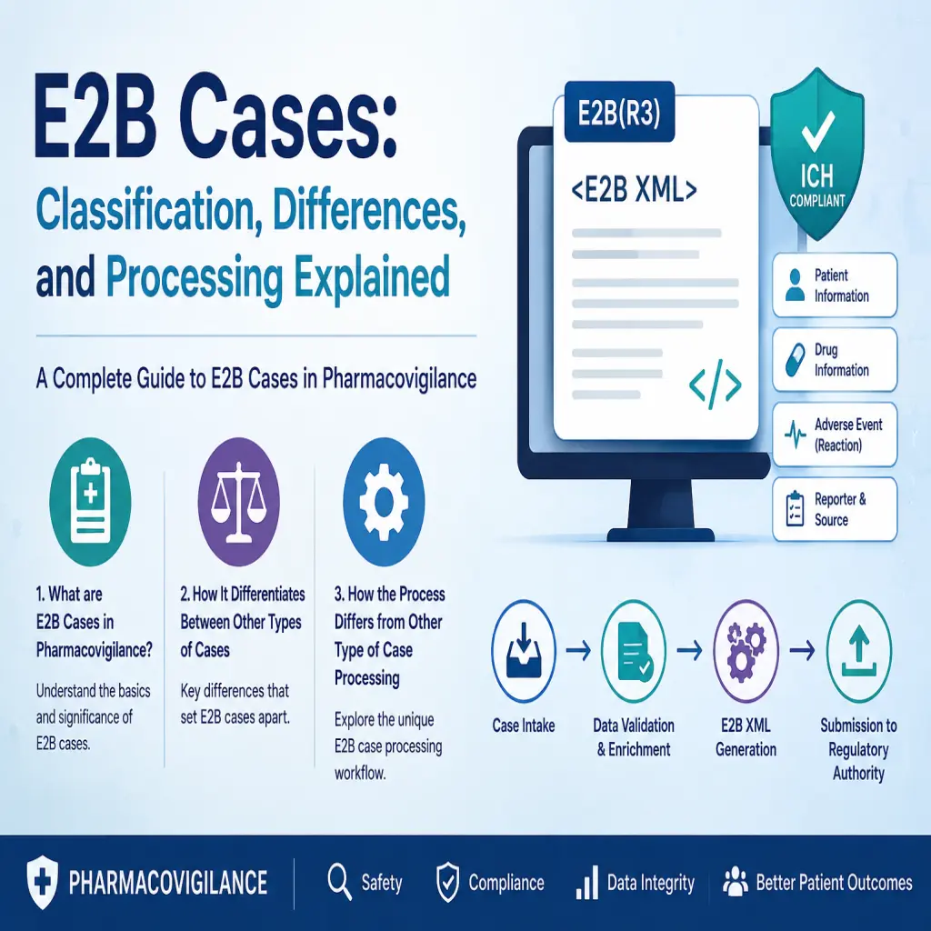 E2B Cases: Classification, Differences, And Processing Explained ...